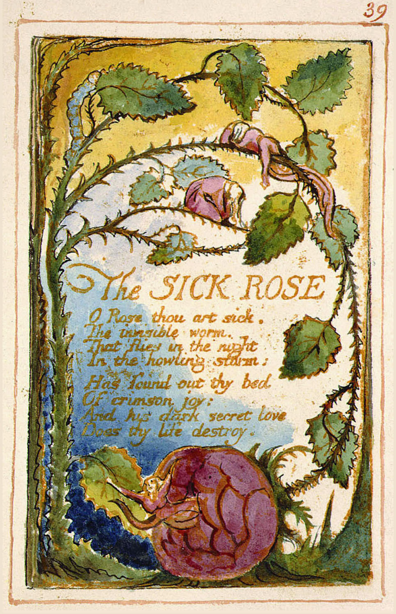Songs of innocence and of experience page 39 The Sick Rose Fitzwilliam copy